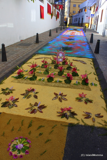 floral carpet corpus chrisit arona